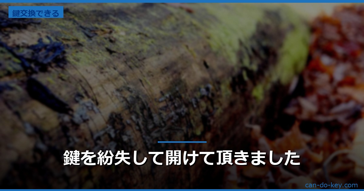 鍵を紛失して開けて頂きました